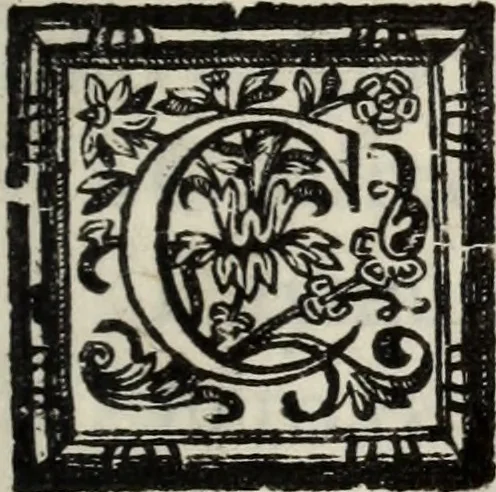 An illustration from O Godfredo, ou, Hierusalem libertada : poema heroyco, 1682, leaf 652