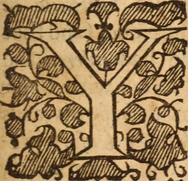 An illustration from Ohel or Beth-shemesh, a tabernacle for the Sun : or, Irenicum evangelicum, an idea of church discipline, in the theorick and practick parts .., 1653, leaf 10