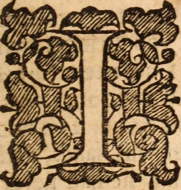 An illustration from Ohel or Beth-shemesh, a tabernacle for the Sun : or, Irenicum evangelicum, an idea of church discipline, in the theorick and practick parts .., 1653, leaf 342