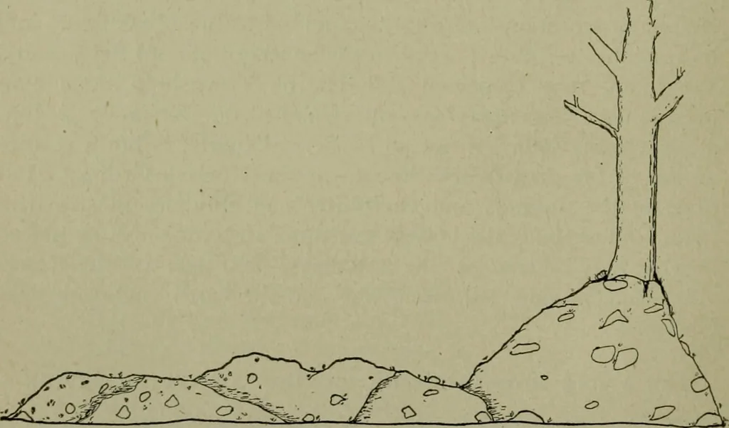 An illustration from Ohio archæological and historical publications, 1887, leaf 199