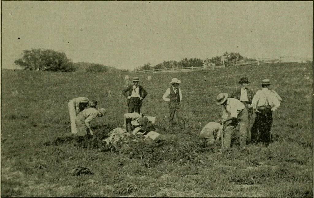 An illustration from Ohio archæological and historical publications, 1887, leaf 220
