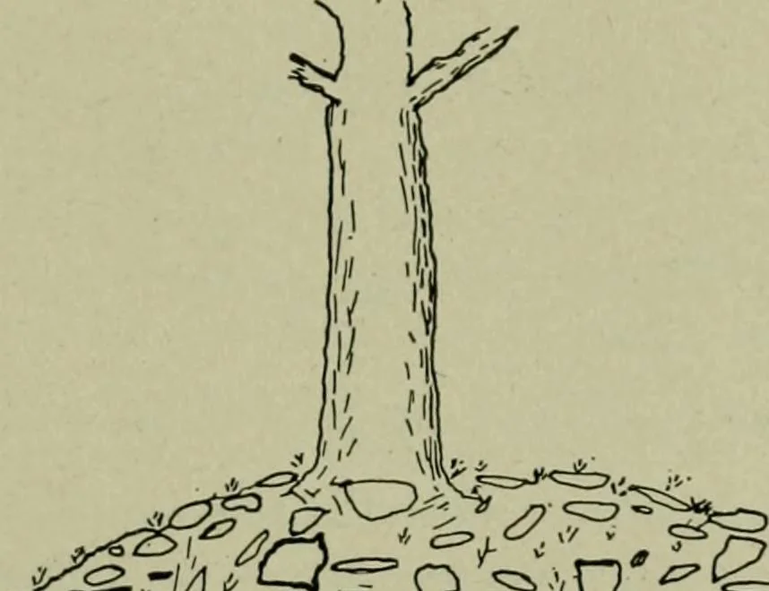 An illustration from Ohio archæological and historical publications, 1887, leaf 238