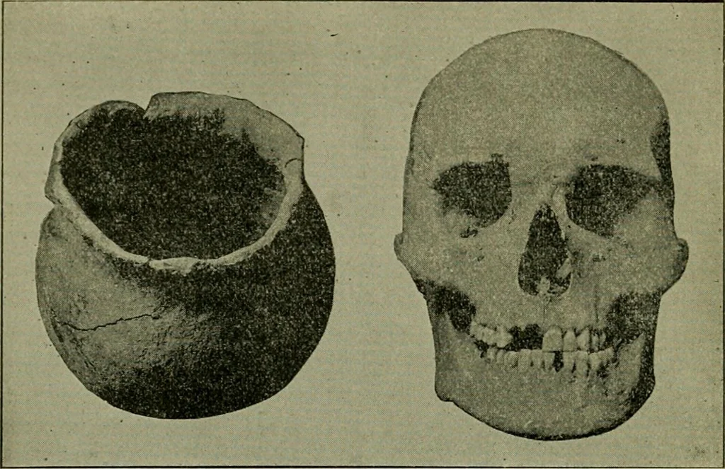 An illustration from Ohio archæological and historical publications, 1887, leaf 261