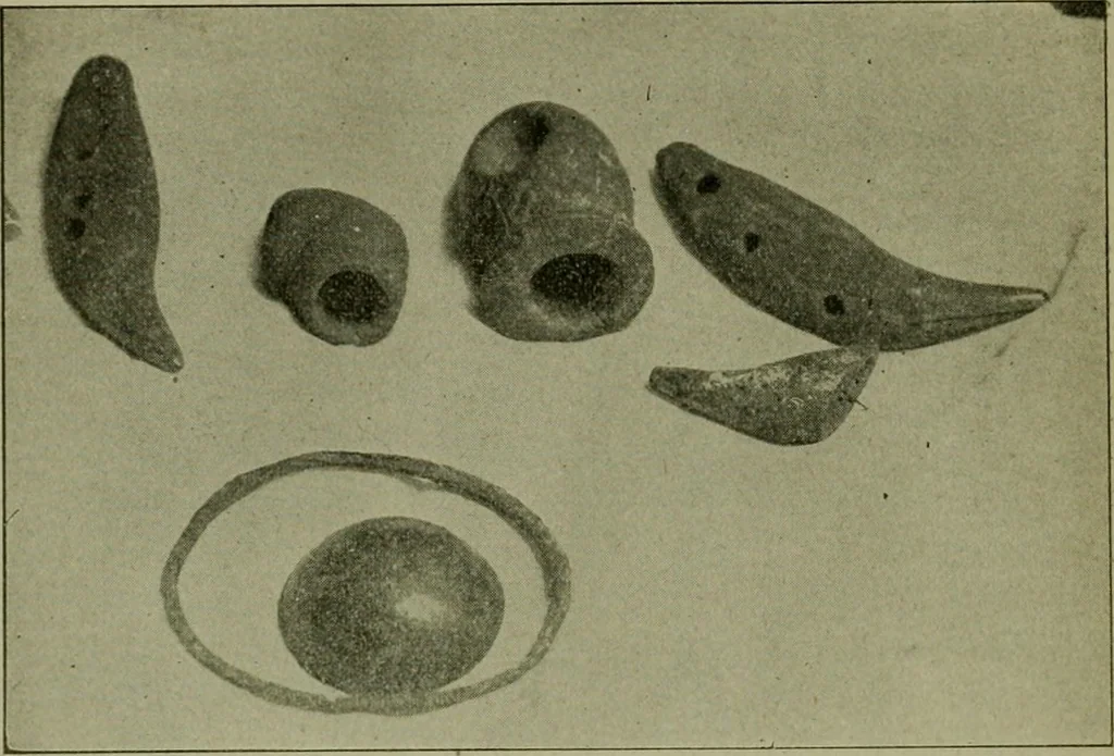 An illustration from Ohio archæological and historical publications, 1887, leaf 271