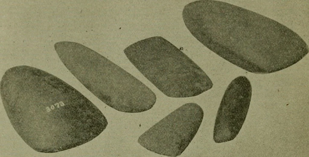 An illustration from Ohio archæological and historical publications, 1887, leaf 275