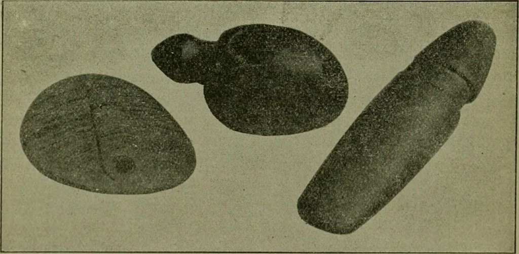 An illustration from Ohio archæological and historical publications, 1887, leaf 277