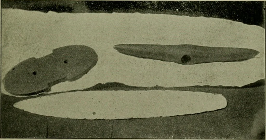 An illustration from Ohio archæological and historical publications, 1887, leaf 278