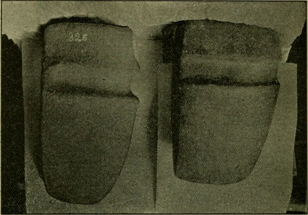 An illustration from Ohio archæological and historical publications, 1887, leaf 279