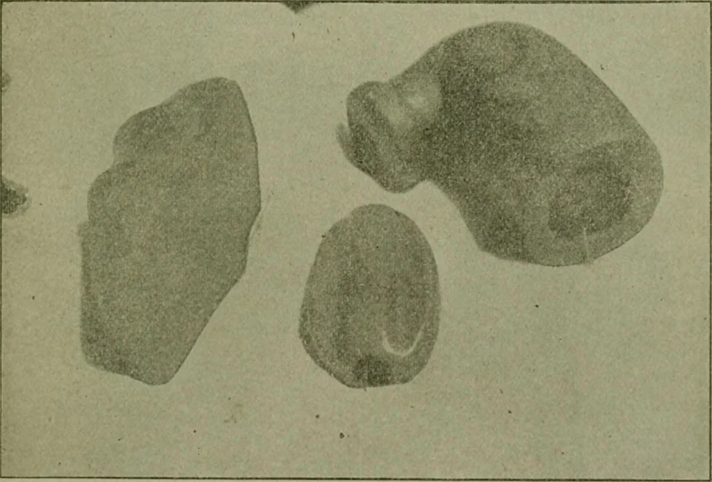 An illustration from Ohio archæological and historical publications, 1887, leaf 280