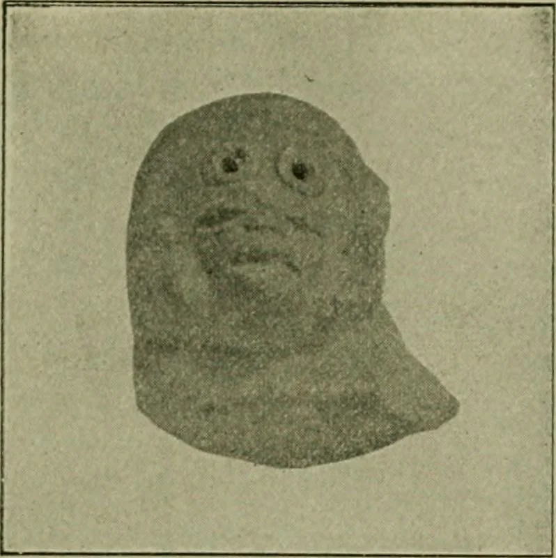 An illustration from Ohio archæological and historical publications, 1887, leaf 284