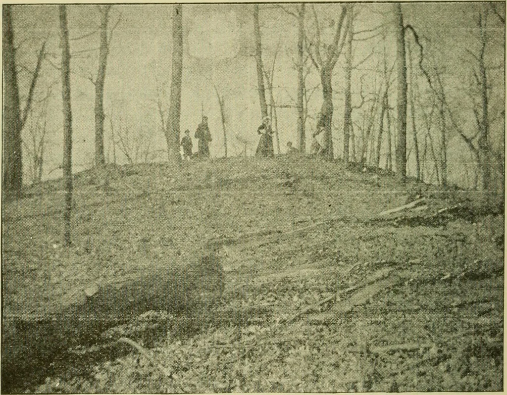An illustration from Ohio archæological and historical publications, 1887, leaf 121