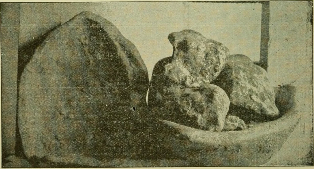 An illustration from Ohio archæological and historical publications, 1887, leaf 129