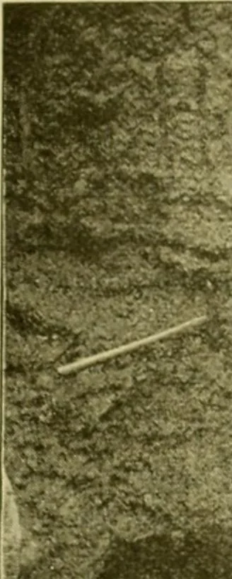 An illustration from Ohio archæological and historical publications, 1887, leaf 146