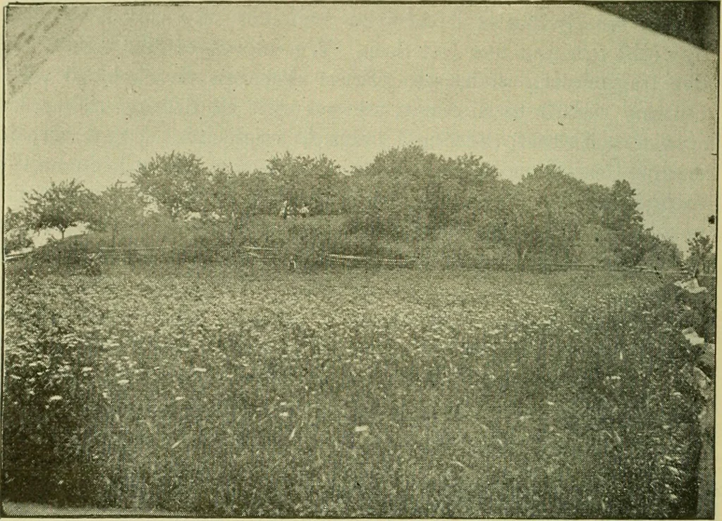 An illustration from Ohio archæological and historical publications, 1887, leaf 149