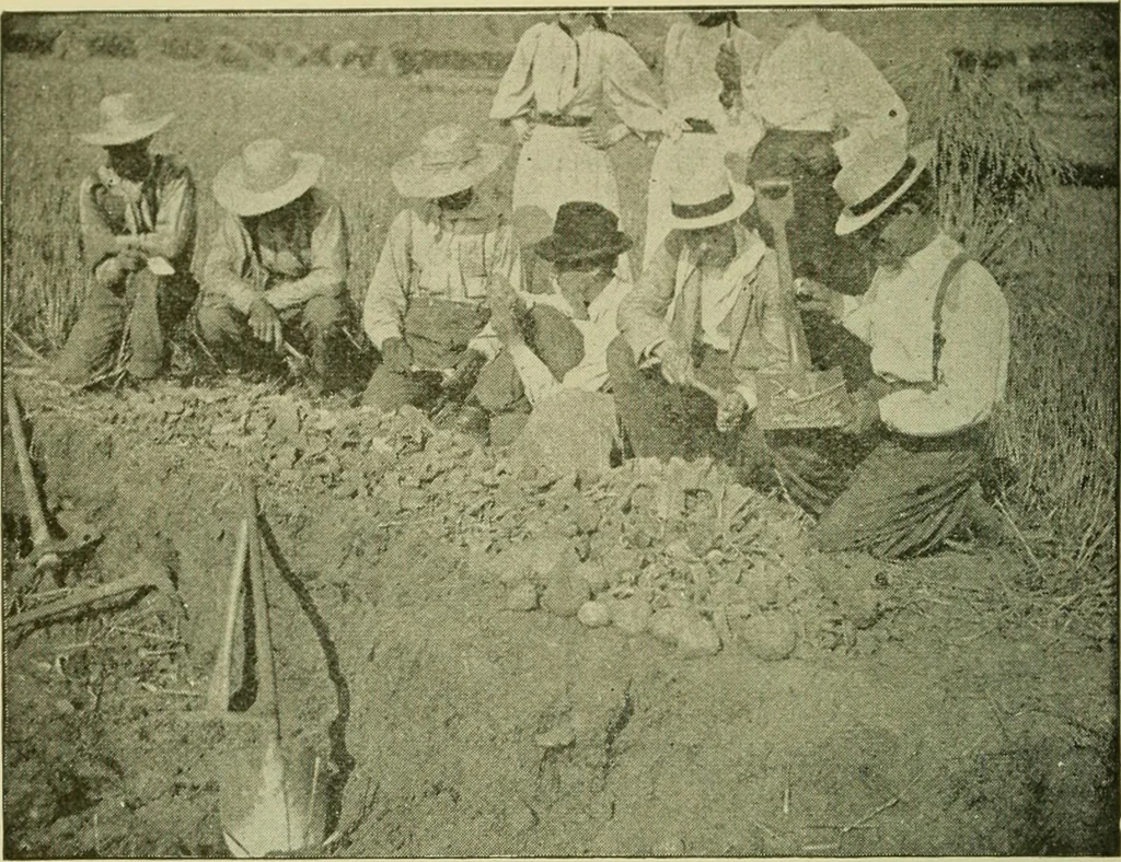 An illustration from Ohio archæological and historical publications, 1887, leaf 153