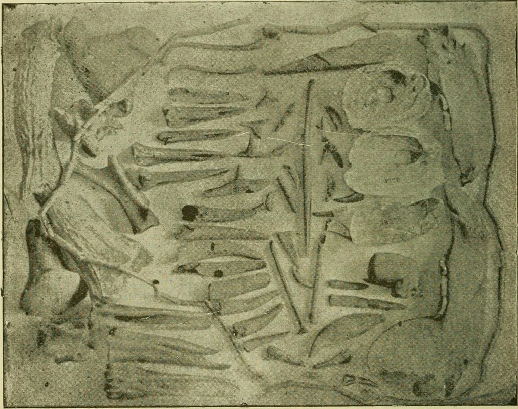 An illustration from Ohio archæological and historical publications, 1887, leaf 155