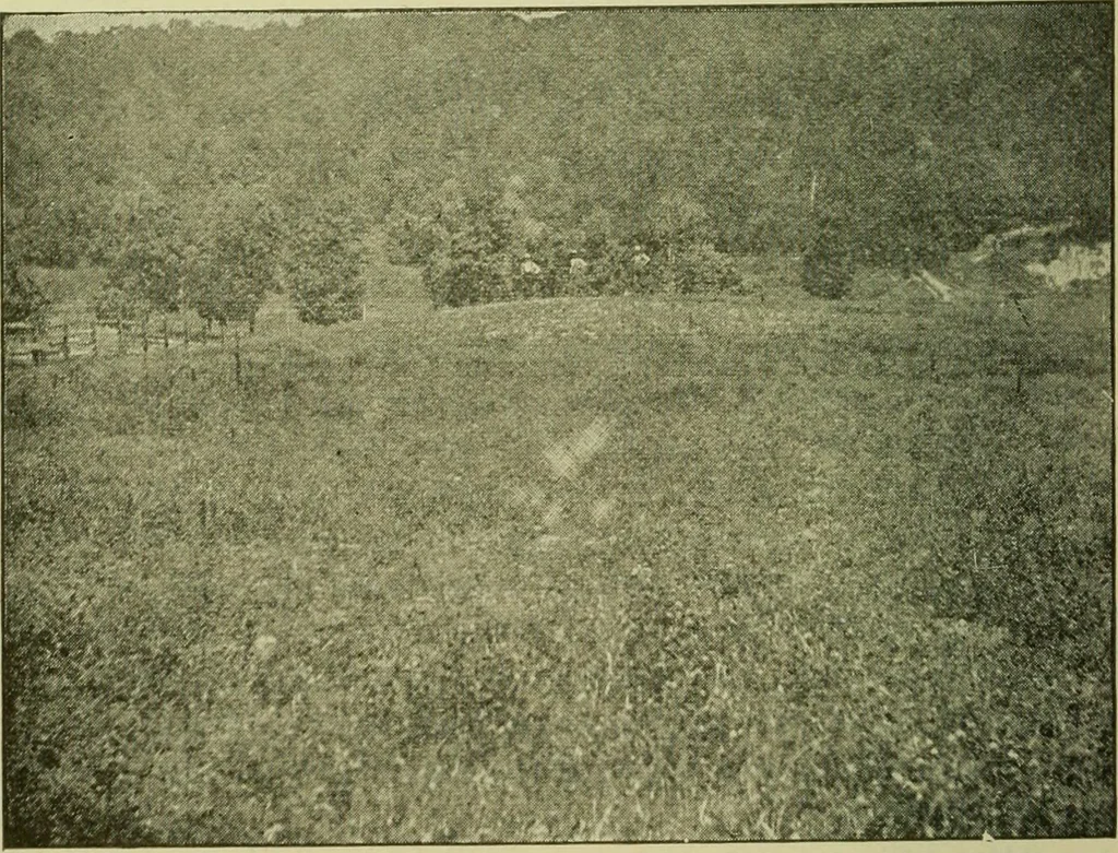 An illustration from Ohio archæological and historical publications, 1887, leaf 161