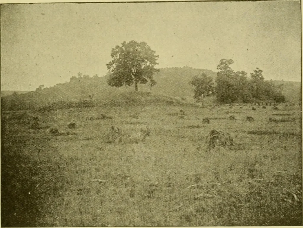 An illustration from Ohio archæological and historical publications, 1887, leaf 162