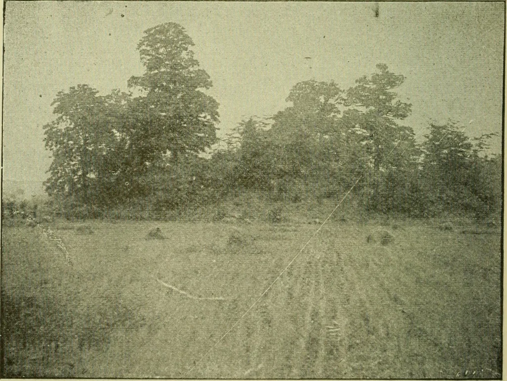 An illustration from Ohio archæological and historical publications, 1887, leaf 163