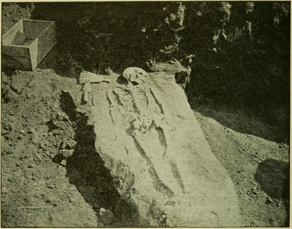 An illustration from Ohio archæological and historical publications, 1887, leaf 167