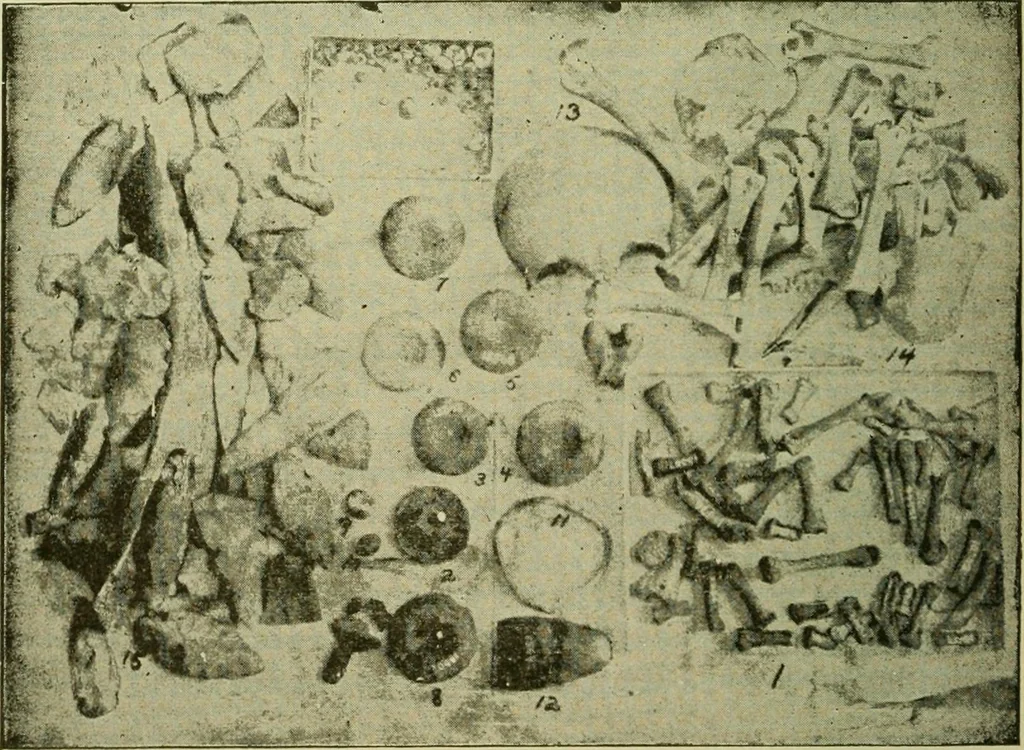An illustration from Ohio archæological and historical publications, 1887, leaf 169