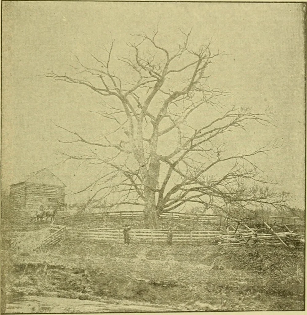 An illustration from Ohio archæological and historical publications, 1887, leaf 362