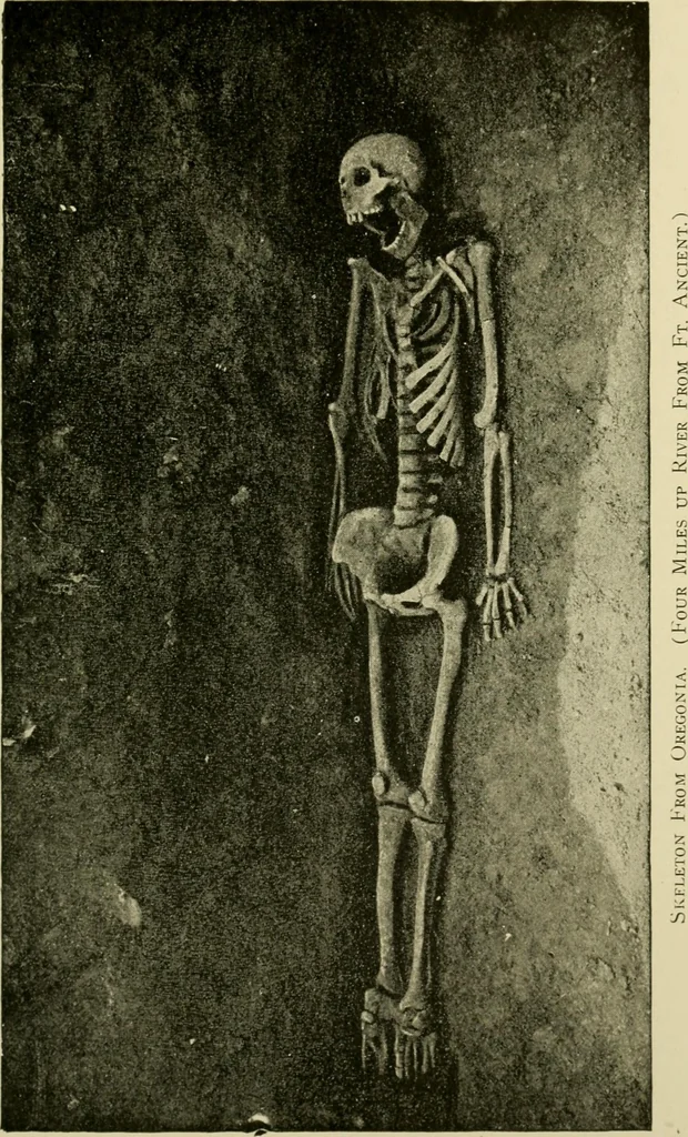 An illustration from Ohio archæological and historical publications, 1887, leaf 184