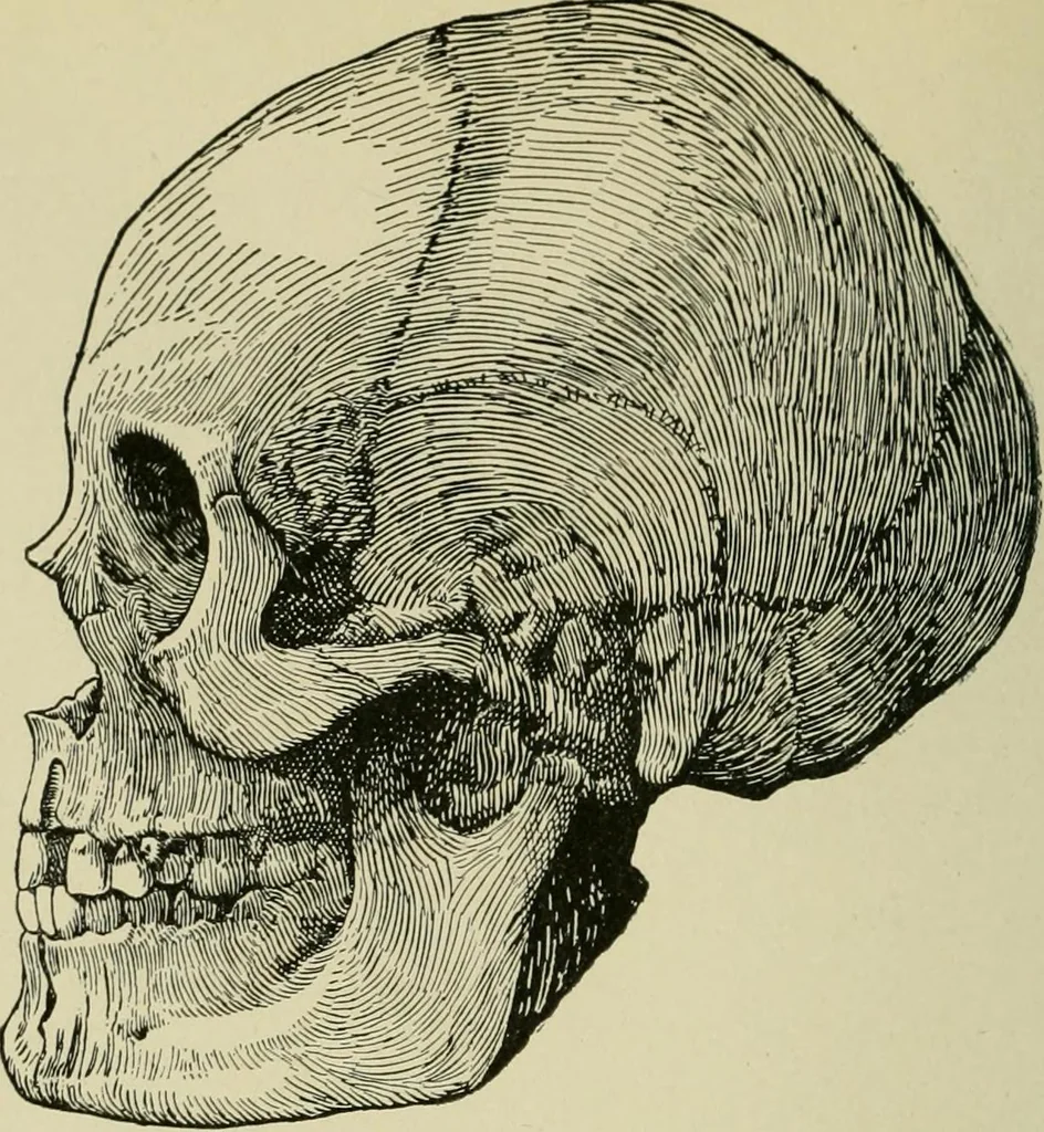 An illustration from Ohio archæological and historical publications, 1887, leaf 219