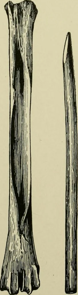 An illustration from Ohio archæological and historical publications, 1887, leaf 219