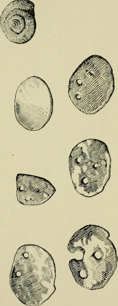 An illustration from Ohio archæological and historical publications, 1887, leaf 67