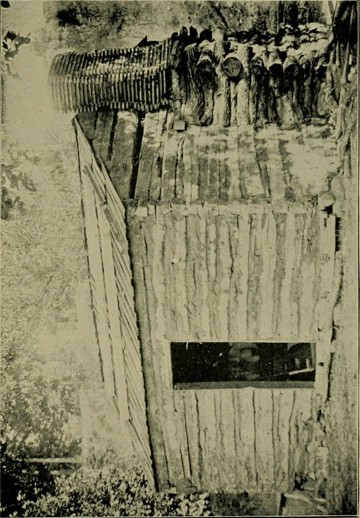 An illustration from Ohio archæological and historical publications, 1887, leaf 118