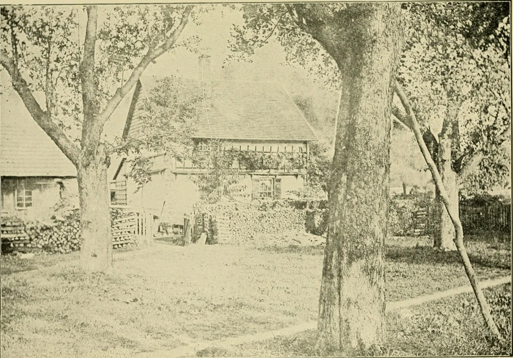 An illustration from Ohio archæological and historical publications, 1887, leaf 104