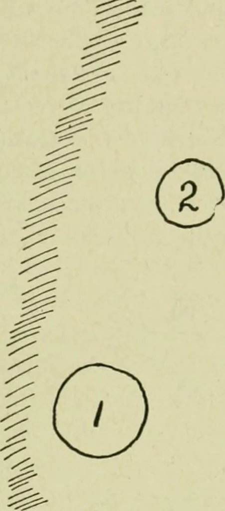 An illustration from Ohio archæological and historical publications, 1887, leaf 376
