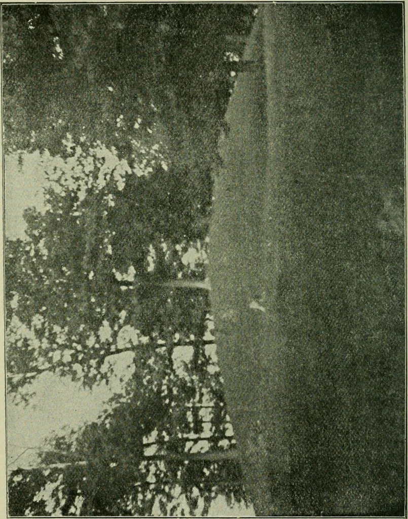 An illustration from Ohio archæological and historical publications, 1887, leaf 381