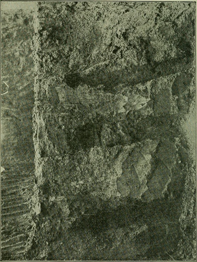An illustration from Ohio archæological and historical publications, 1887, leaf 383