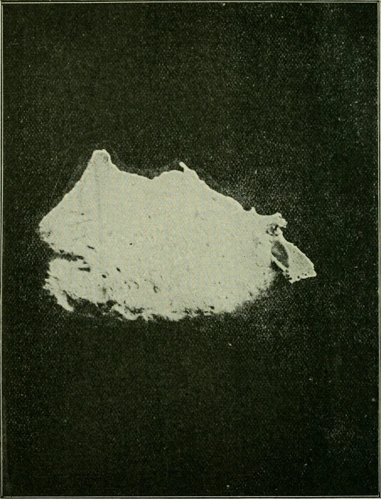 An illustration from Ohio archæological and historical publications, 1887, leaf 391