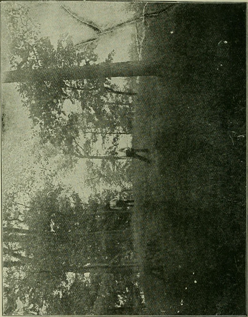 An illustration from Ohio archæological and historical publications, 1887, leaf 393