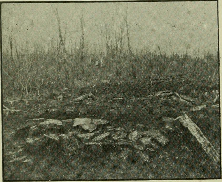An illustration from Ohio archæological and historical publications, 1887, leaf 209