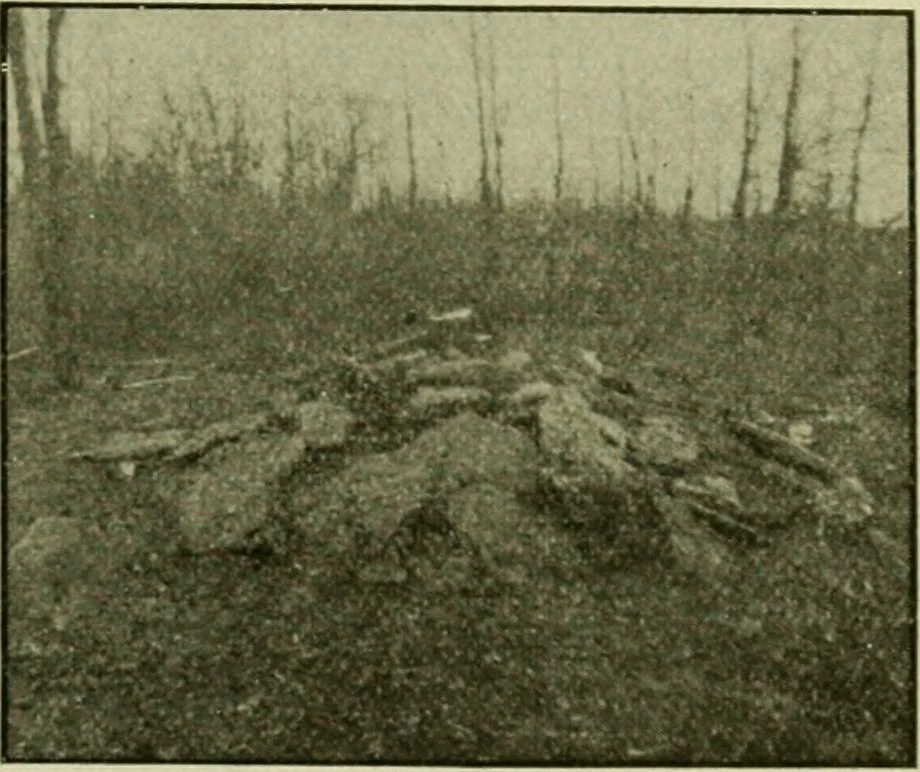 An illustration from Ohio archæological and historical publications, 1887, leaf 212