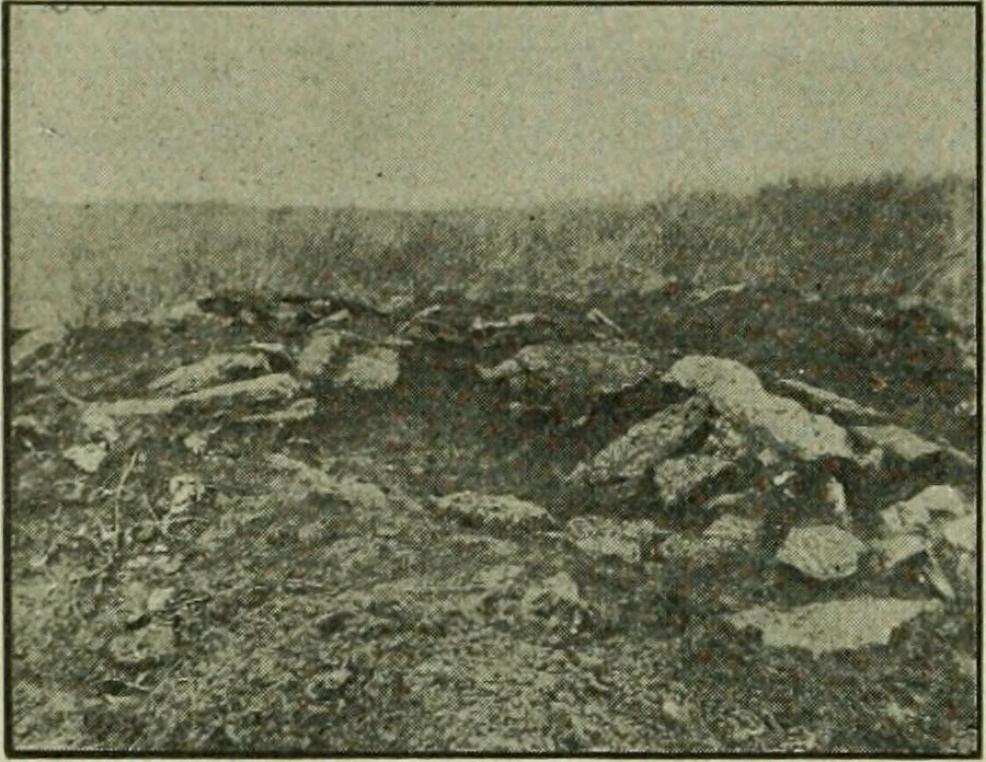 An illustration from Ohio archæological and historical publications, 1887, leaf 213