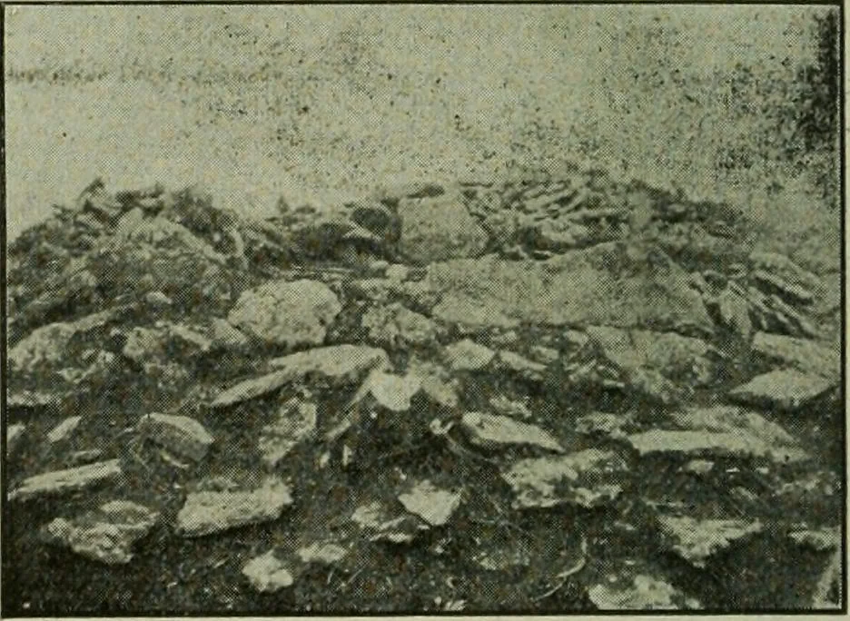 An illustration from Ohio archæological and historical publications, 1887, leaf 213