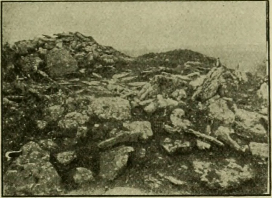 An illustration from Ohio archæological and historical publications, 1887, leaf 214