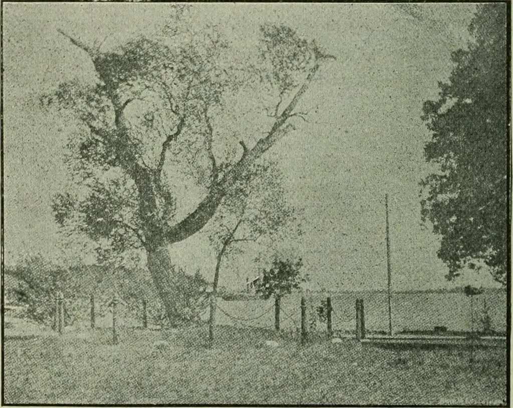An illustration from Ohio archæological and historical publications, 1887, leaf 259