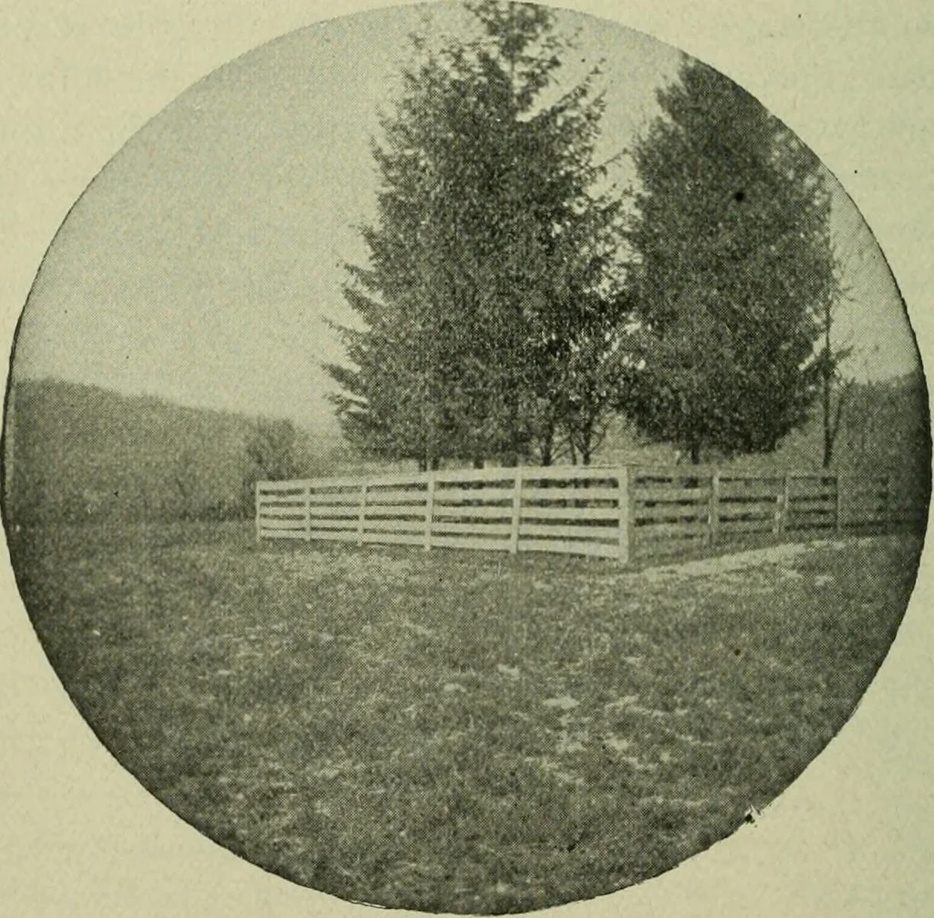 An illustration from Ohio archæological and historical publications, 1887, leaf 465