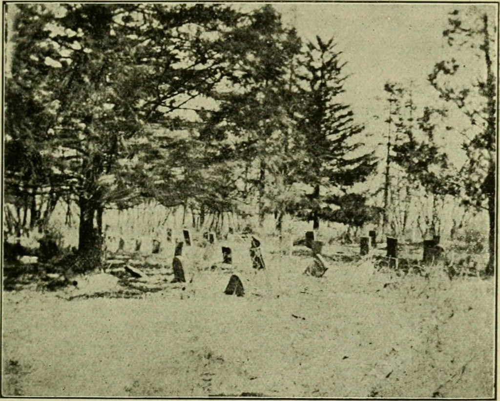 An illustration from Ohio archæological and historical publications, 1887, leaf 78