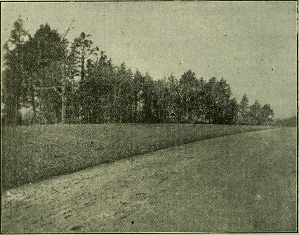An illustration from Ohio archæological and historical publications, 1887, leaf 87