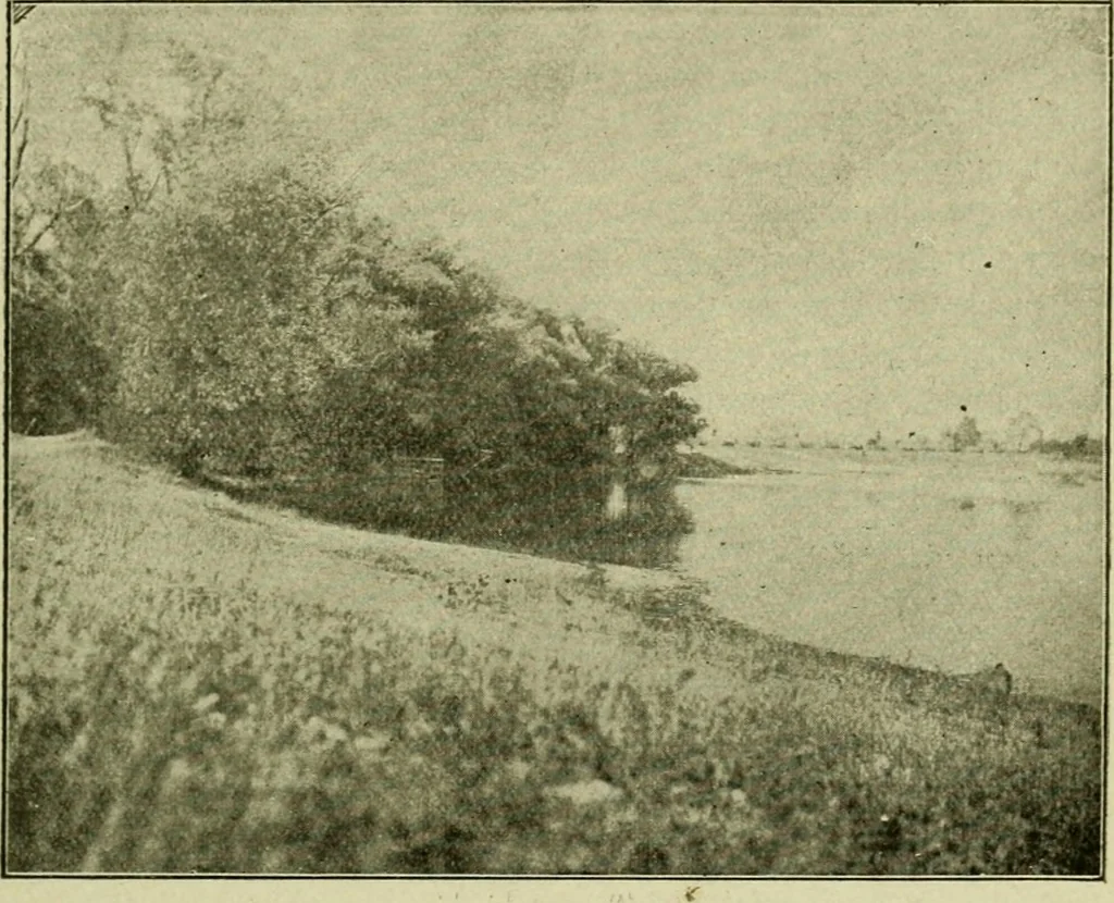 An illustration from Ohio archæological and historical publications, 1887, leaf 88