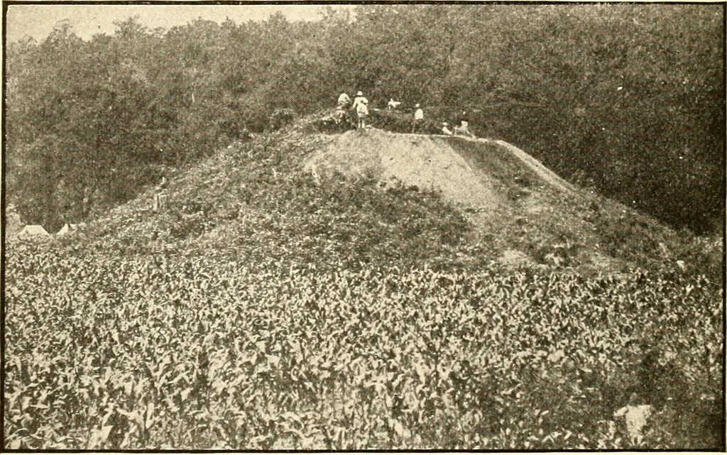 An illustration from Ohio archæological and historical publications, 1887, leaf 465