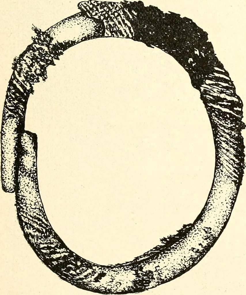 An illustration from Ohio archæological and historical publications, 1887, leaf 466