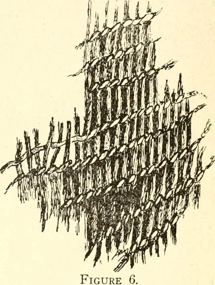 An illustration from Ohio archæological and historical publications, 1887, leaf 467